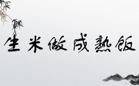 生米做成熟饭的解释_用法_来源