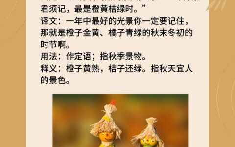 西风落叶的解释_用法_来源