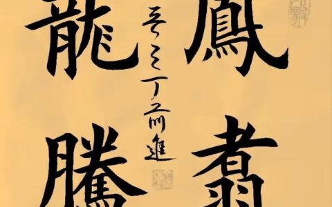 凤骨龙姿的解释_意思_来源