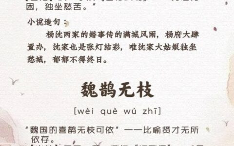 魏鹊无枝的解释_用法_来源