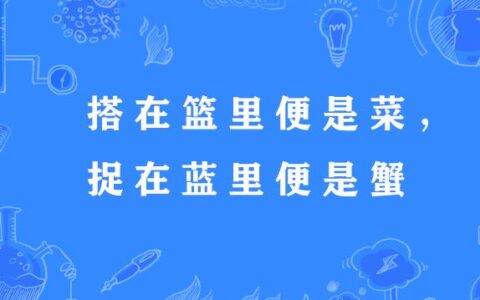 挑得篮里便是菜的解释_用法_来源