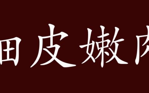 娇皮嫩肉的释义_解释_出处