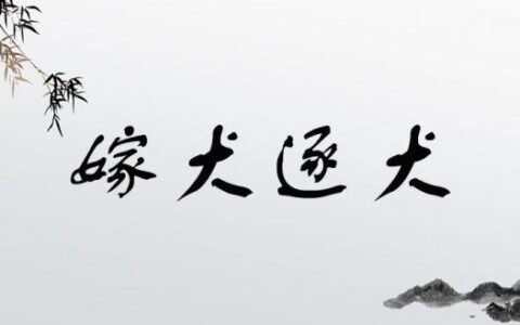 嫁狗逐狗的释义_解释_出处