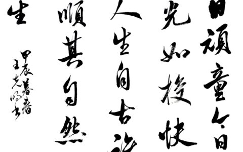 惟日为岁的解释_用法_来源