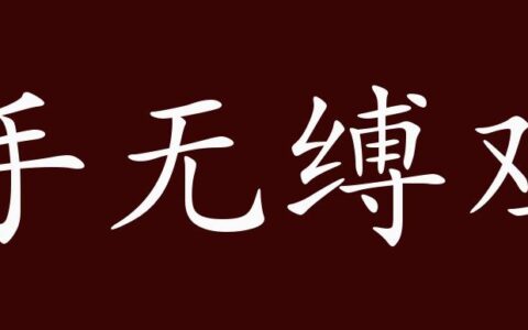 手无缚鸡之力的解释_用法_来源