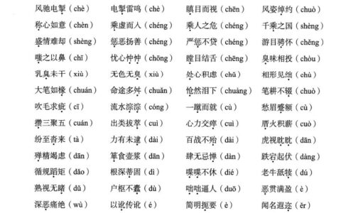 同音共律的解释_用法_来源