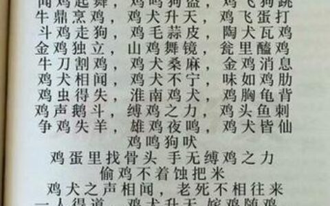 鸡烂嘴巴硬的释义_解释_出处