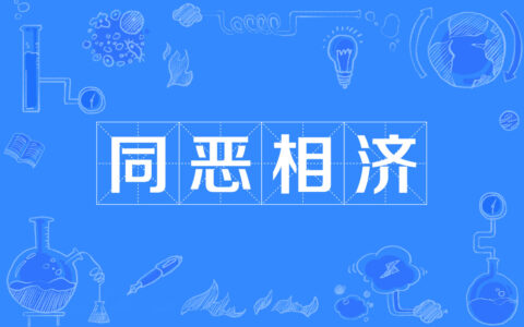 同恶相助的解释_用法_来源