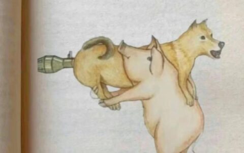 见豕负涂的释义_解释_出处