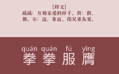 毒手尊拳的解释_意思_来源