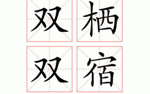 双栖双宿的解释_用法_来源