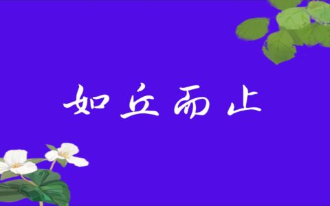 如丘而止的解释_用法_来源