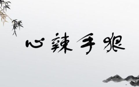 狠心辣手的释义_解释_出处