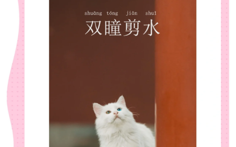 双瞳剪水的解释_用法_来源