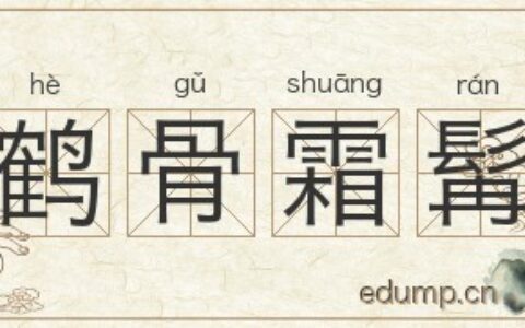 鹤骨霜髯的释义_解释_出处