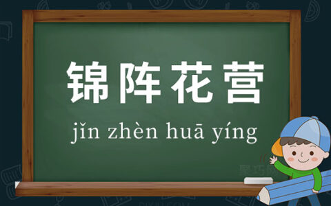 锦营花阵的释义_解释_出处