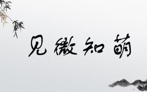 见微知萌的释义_解释_出处