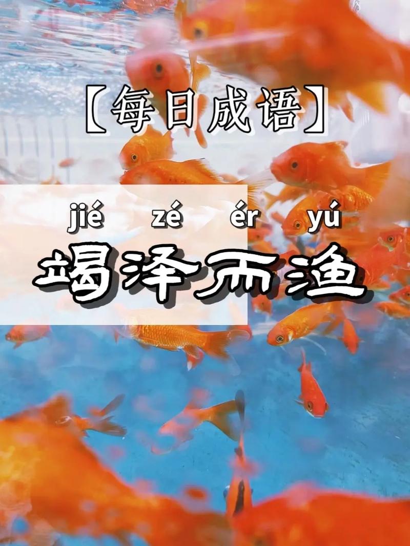 竭泽而渔的释义_解释_出处- 职教网