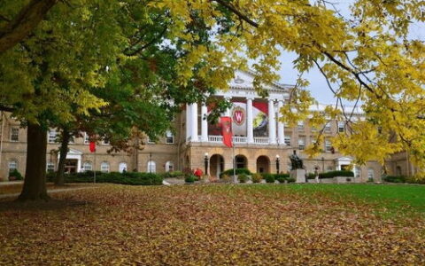 为什么越来越多人选择加拿大艺术留学？从院校选择到就业，一篇讲透