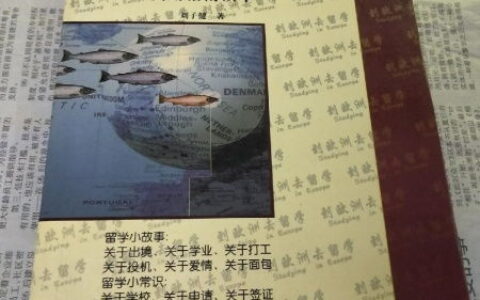 不止是性价比：欧洲留学的多元魅力与实用指南