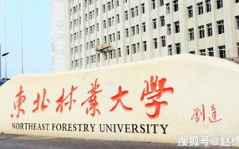 林大是哪个大学？