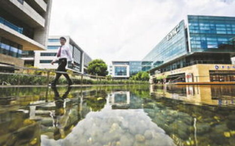 上海大学路：不止是杨浦区的一条路，更是青春与梦想的代名词