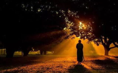 留学：一场在陌生世界里，重新认识自己的修行