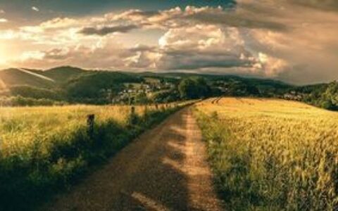 「一般多少岁上大学？」别让年龄，绑架你的人生旷野