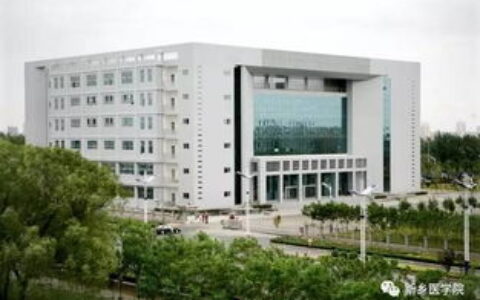 中山大学护理专业：百年积淀铸就卓越，南国医学殿堂的“白衣精英”摇篮