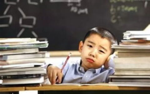 当10岁的孩子背上行囊：小小留学生现象背后的教育焦虑与成长代价