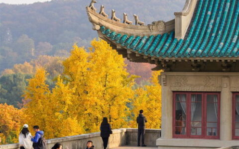 不止于地理坐标：当“珞珈山”遇见“江城”——武汉大学扎根湖北的百年风华