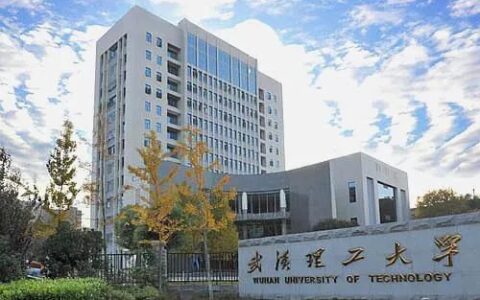 武汉理工大学自动化专业深度解析：工科强校的“王牌”专业，就业与深造双优选择