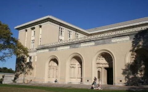 p大是哪个大学？