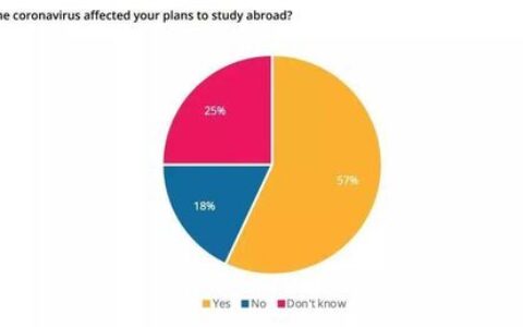2024留学培训行业深度观察：从“流水线”到“个性化”，如何找到你的留学“领航员”？