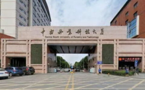 上海到底有多少所大学？这个问题，远比一个数字复杂