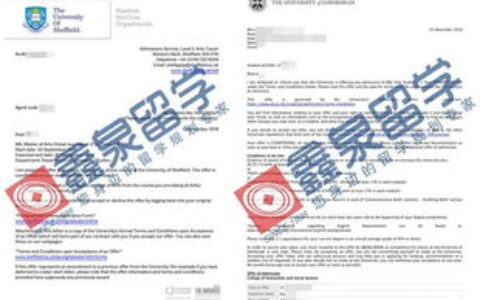 2024留学国家选择指南：英美澳加新港，到底该怎么选？