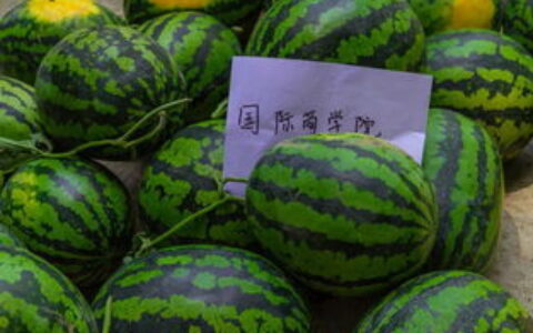 瓜大是哪个大学？