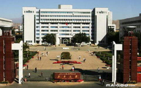新疆一本大学有哪些