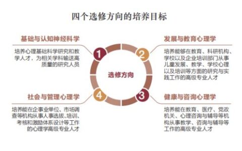 商业心理学专业怎么样？从“读心术”到企业决策核心，揭秘高潜力交叉学科