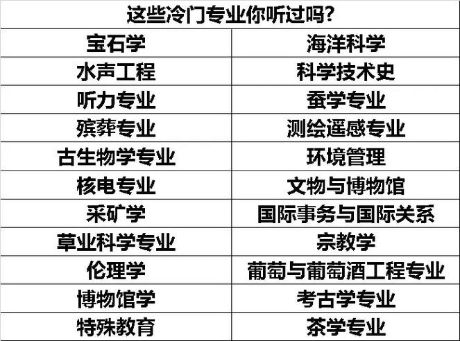 广播电视学是冷门专业吗