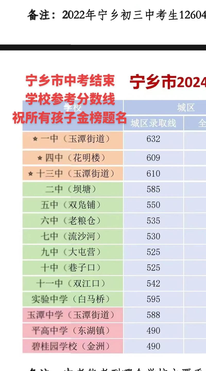 宁乡十三中录取分数线2024