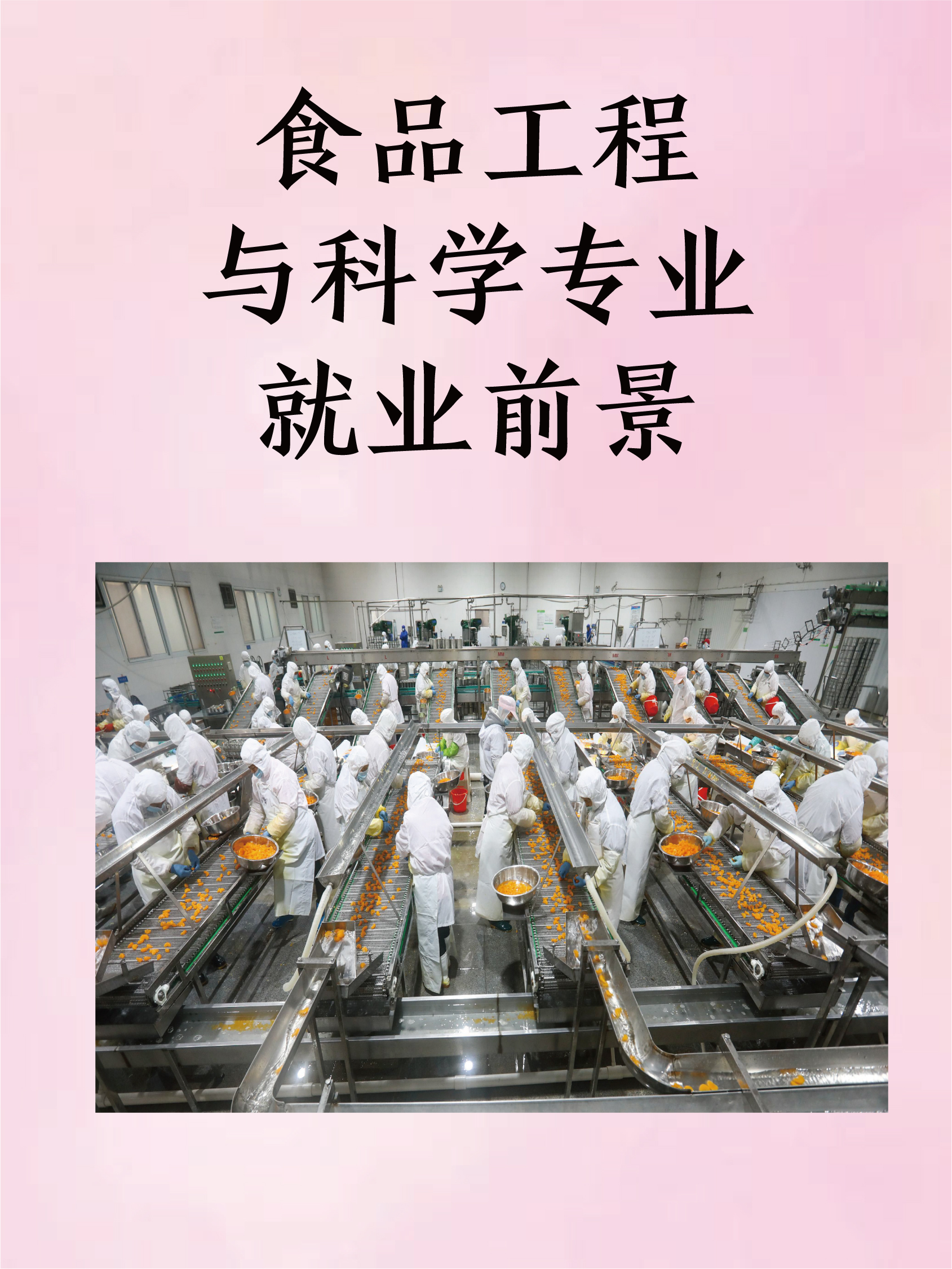 食品科学与工程专业好就业吗