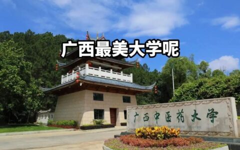 广西中医药大学研究生院