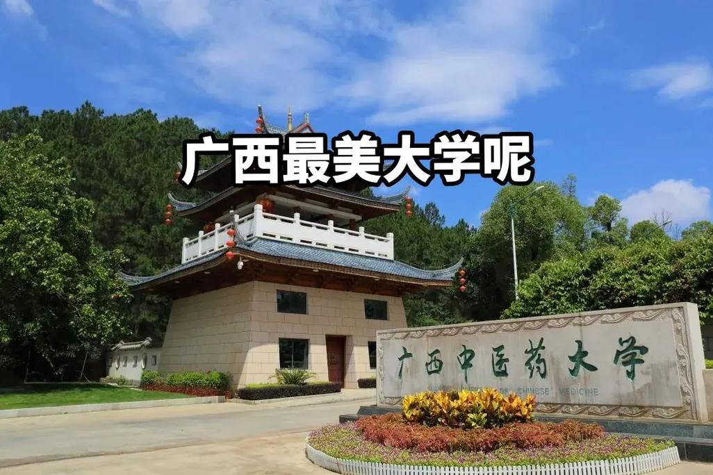 广西中医药大学研究生院