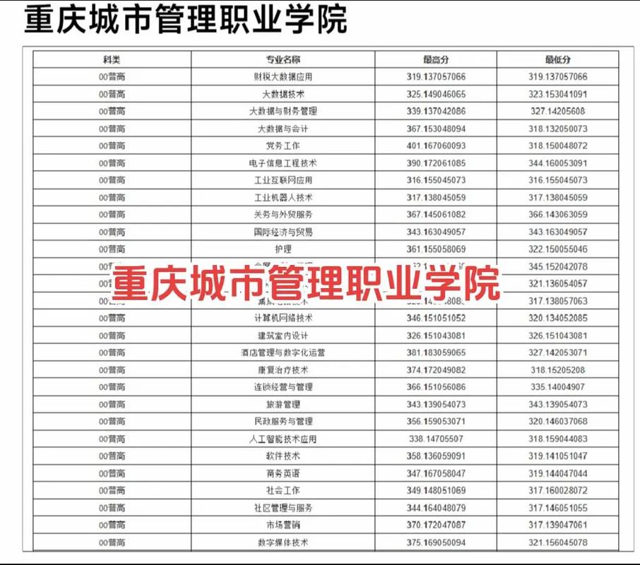 重庆城市管理职业学院单招录取线