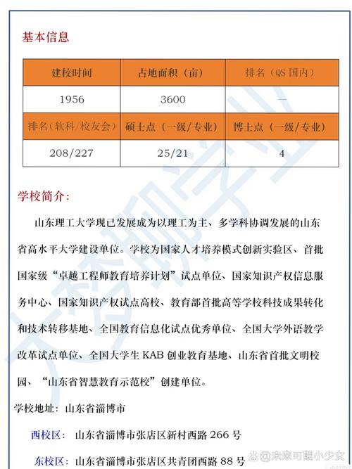 山东理工大学什么档次