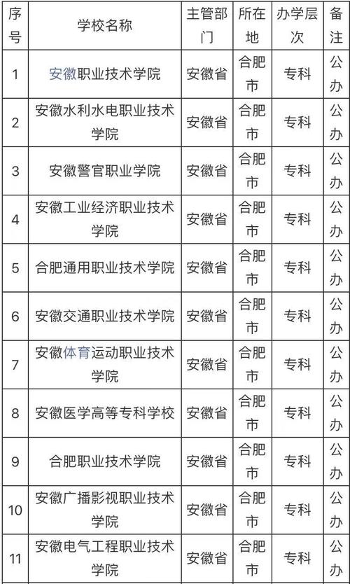 合肥有哪些公办大专学校比较好