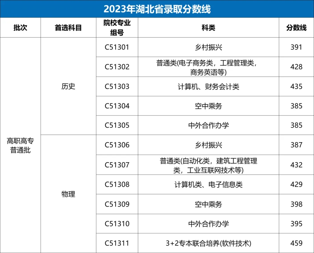 武汉职业技术学院分数线