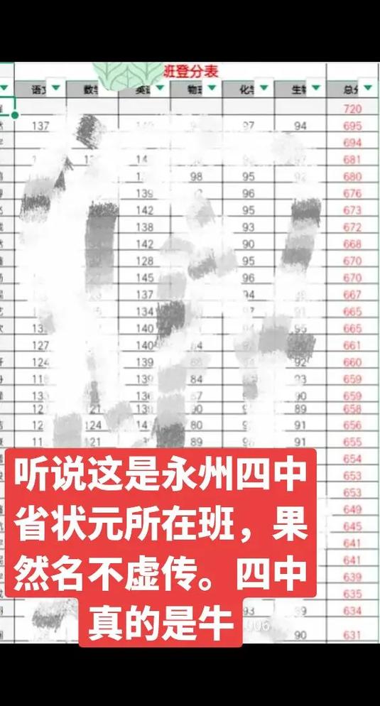 永州四中2024年高考成绩喜报