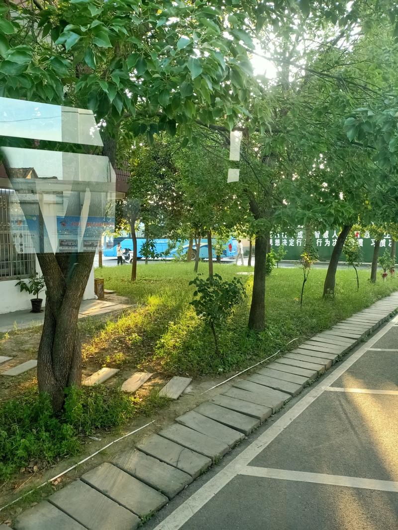 阜阳市绿色实验中学高中部